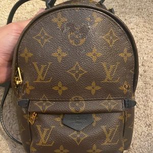 Louis Vuitton Palm Springs mini